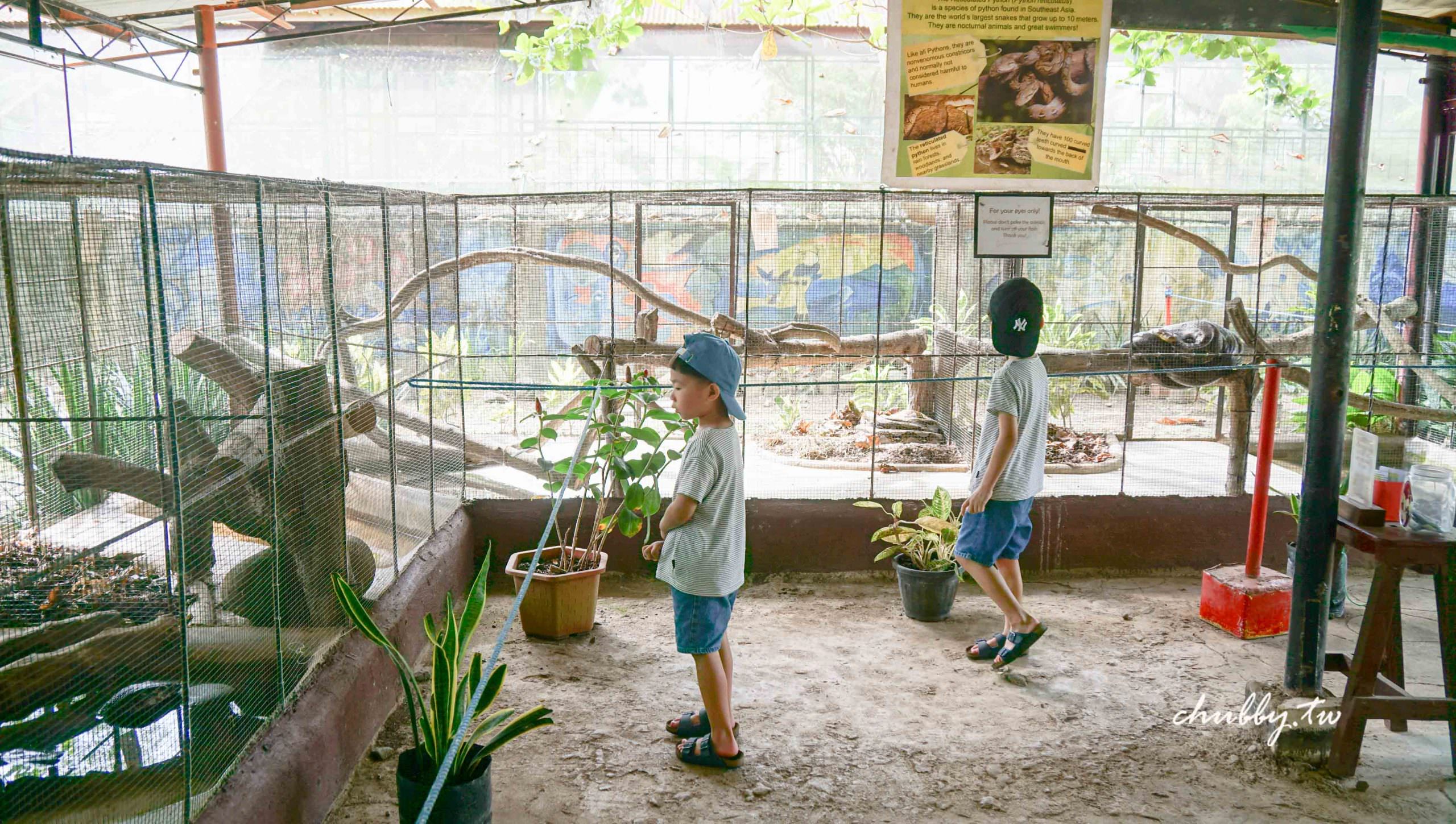 巴拉望親子自由行│公主港行程推薦：全世界最大的鱷魚在這裡！鱷魚養殖場Palawan Wildlife Rescue and Conservation Center (Crocodile Farm)