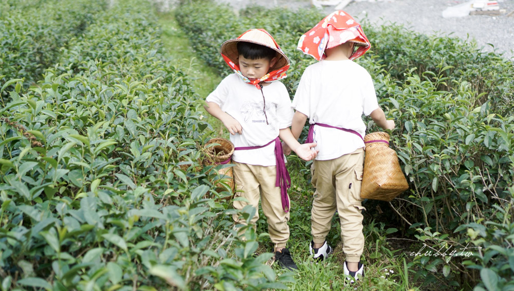 宜蘭親子體驗推薦：祥語有機農場，跟小孩當一日茶農親手採茶+做龍鬚糖！