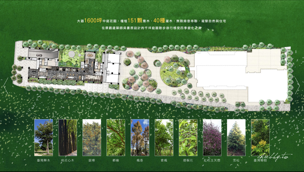 全坤峰碩的基地周圍規劃了151棵喬木、40種灌木種植，在自家就可以享受四季變化的風景