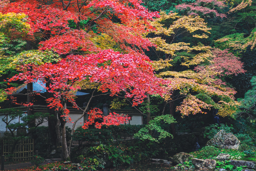 京都和服體驗心得：TekuTeku（てくてく京都）端莊系古董和服，南禪寺一日散策、拍照角度參考