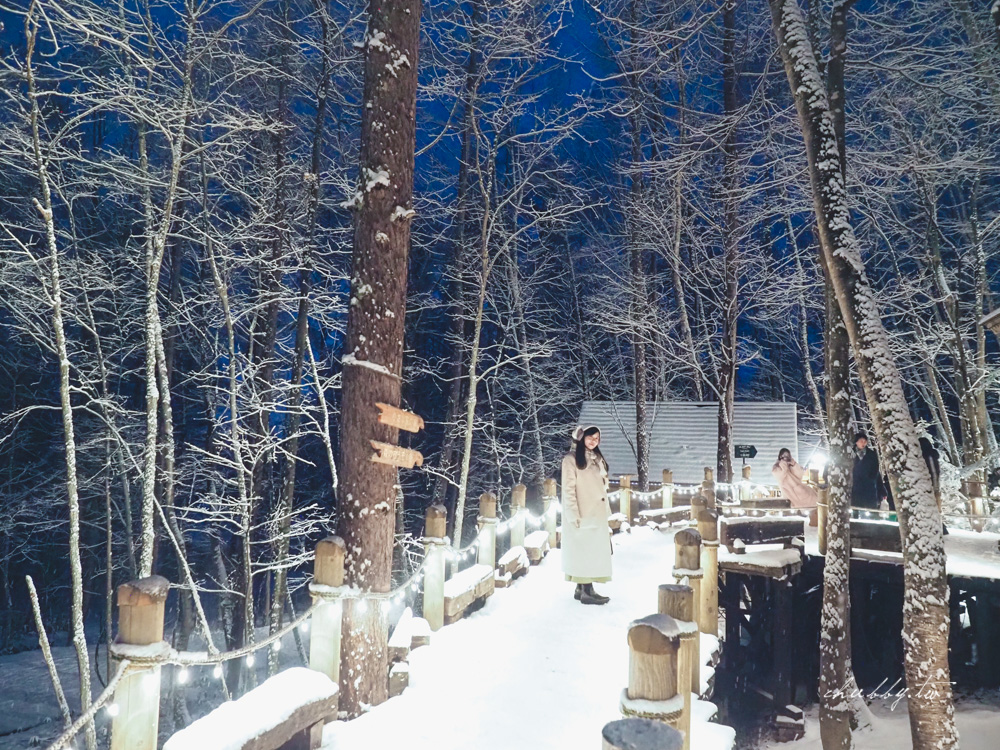 北海道富良野景點推薦：森林精靈露台ニングルテラス交通+點燈+拍照攻略，這個時間點來最美！