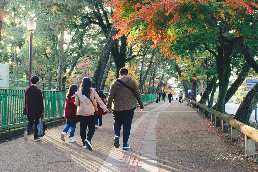 RICOH GR3/GR III街拍機推薦！漫遊京都秋楓季，隨手拍紀錄心得