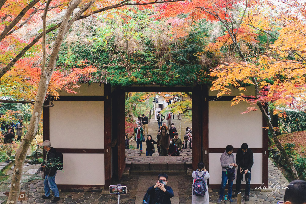 RICOH GR3/GR III街拍機推薦！漫遊京都秋楓季，隨手拍紀錄心得