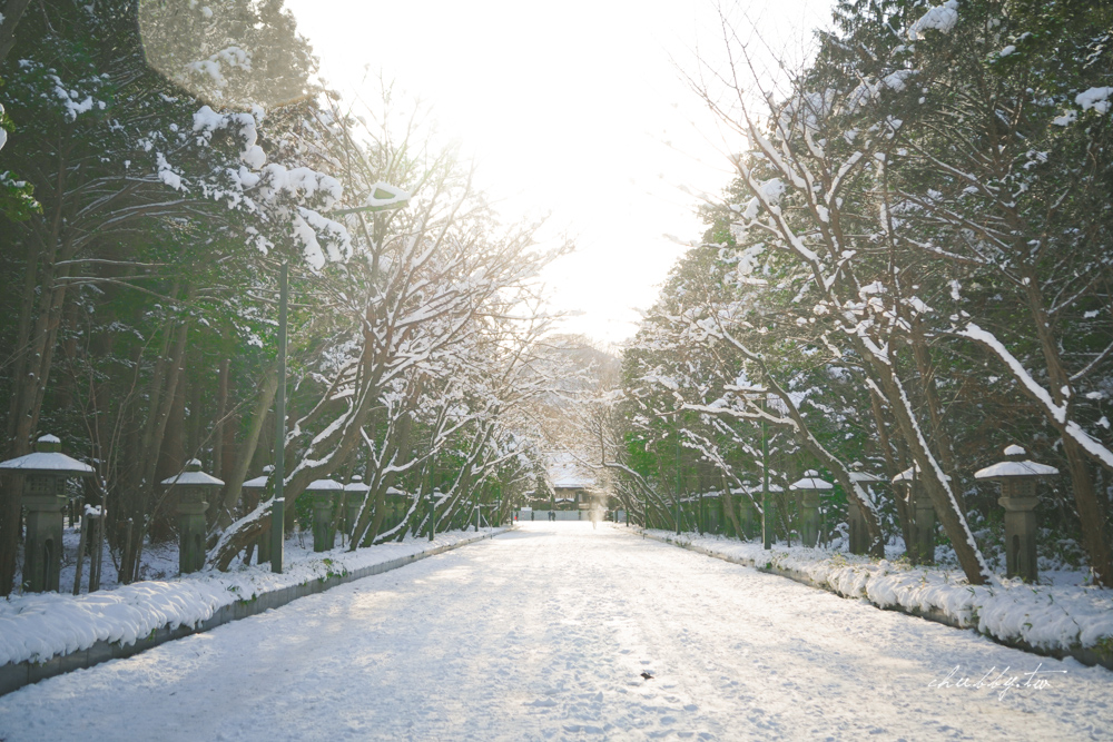 冬季的北海道神宮有多美？