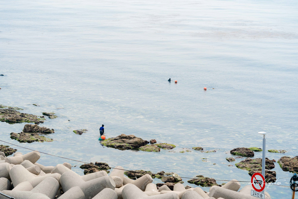 這裡可是有海女的喔！青沙浦本來就是小漁村，沿岸都會有海女出沒，海女會帶著一顆橘色浮球在沿岸邊，憋氣之後就下潛到海底去捕撈漁獲。